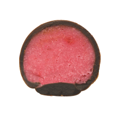 2026 Mooncake Truffles