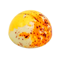 CURIOSITIES -YUZU ANZU PRALINE 10G