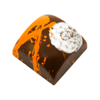 MOCHA PRALINE 9G