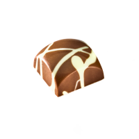 QUINTESSENTIAL -HAZELNUT GIANDUJA PRALINE 9G