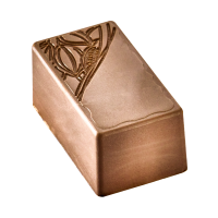 VEGAN -SOYA BAR PRALINE 9G