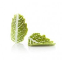 CURVY LEAF GREEN 77679