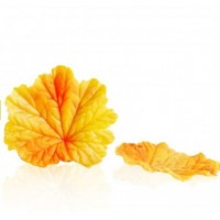 FALL LEAF YELLOW 77688