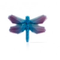 GEOMETRIC DRAGONFLY 78439