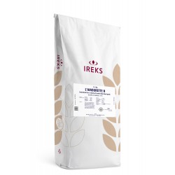 Bread Premix & Improvers