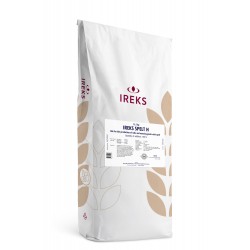 Bread Premix & Improvers