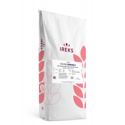 Bread Premix & Improvers