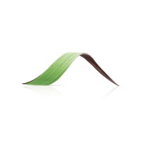 TWIST GREEN DOS77784