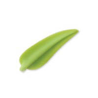 GREEN ELEGANCE DOS77276