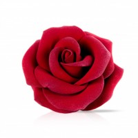 CHOCOLATE SIGNATURE ROSE DOS77397