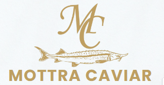 mottra logo